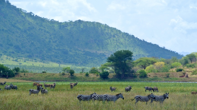 Traveling Tanzania